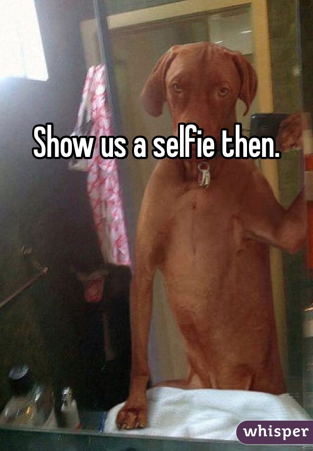Show us a selfie then. 
