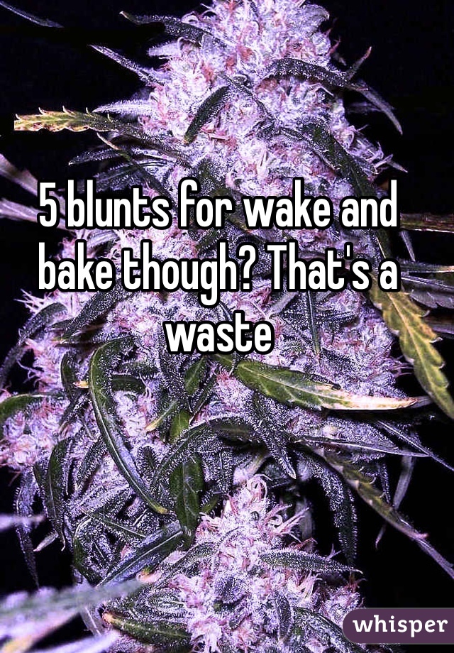 5 blunts for wake and bake though? That's a waste