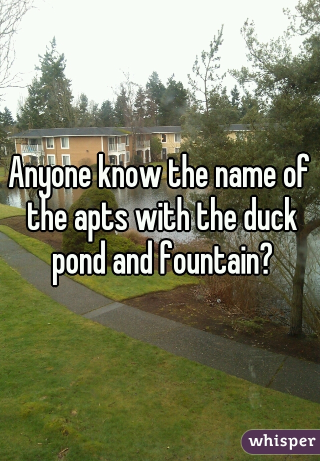 Anyone know the name of the apts with the duck pond and fountain?