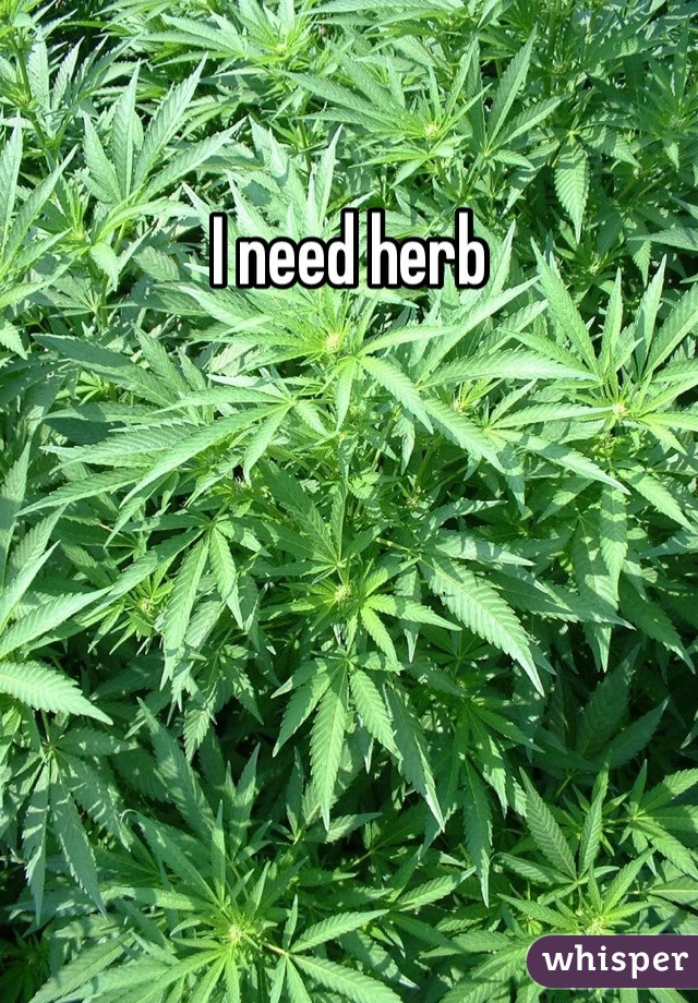 I need herb 