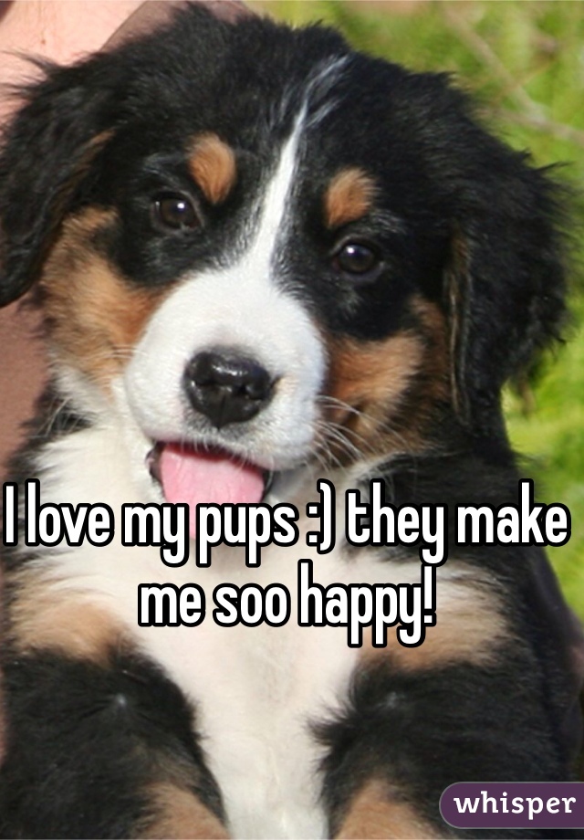 I love my pups :) they make me soo happy! 
