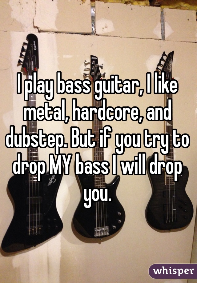 I play bass guitar, I like metal, hardcore, and dubstep. But if you try to drop MY bass I will drop you.  