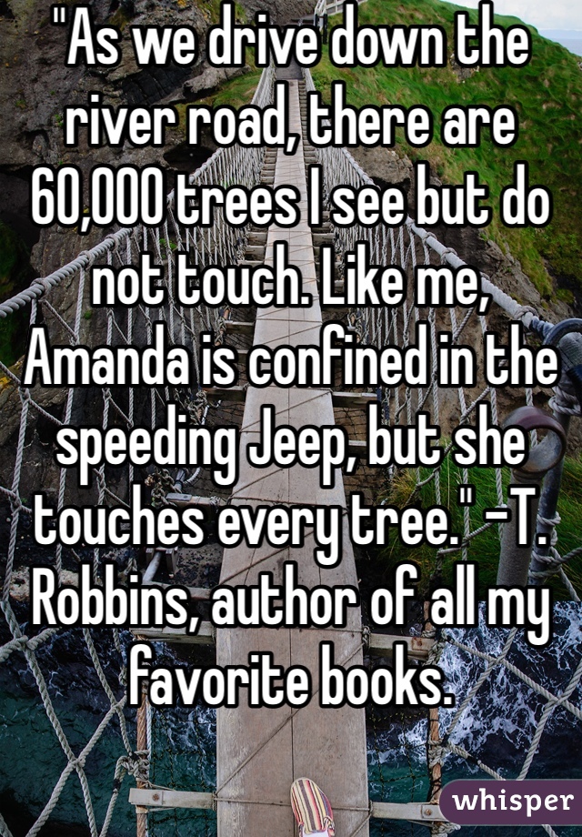 "As we drive down the river road, there are 60,000 trees I see but do not touch. Like me, Amanda is confined in the speeding Jeep, but she touches every tree." -T. Robbins, author of all my favorite books. 