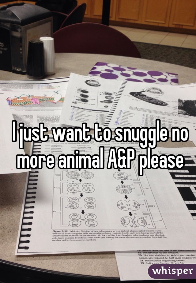 I just want to snuggle no more animal A&P please