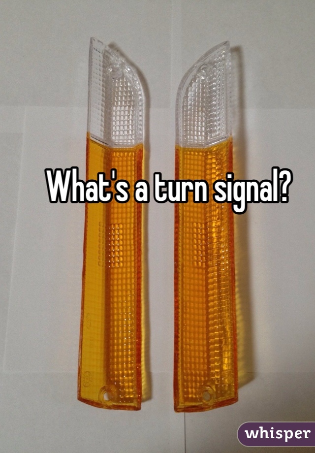 What's a turn signal?