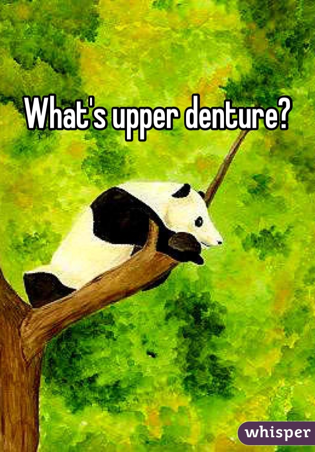 What's upper denture?