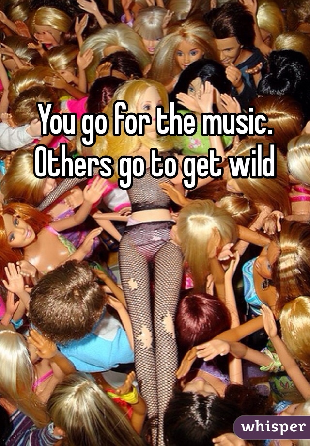 You go for the music. 
Others go to get wild