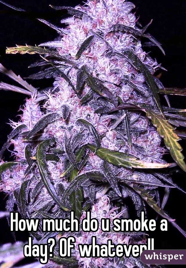 How much do u smoke a day? Of whatever!!