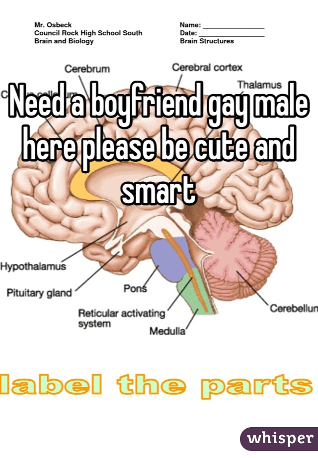 Need a boyfriend gay male here please be cute and smart
