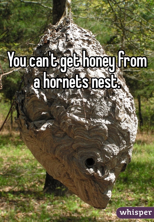 You can't get honey from a hornets nest. 