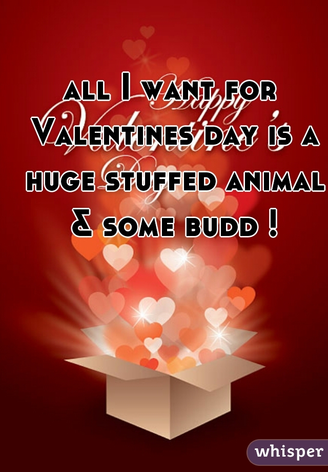 all I want for Valentines day is a huge stuffed animal & some budd !