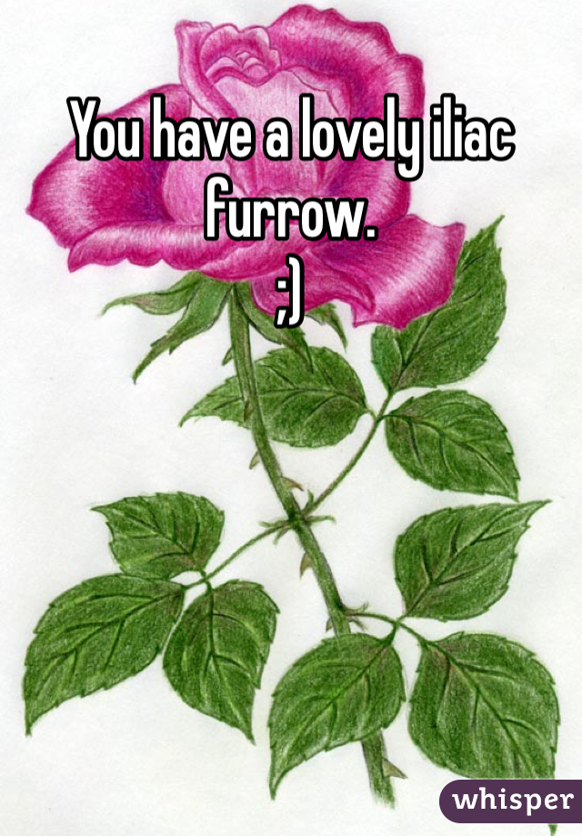 You have a lovely iliac furrow. 
;)