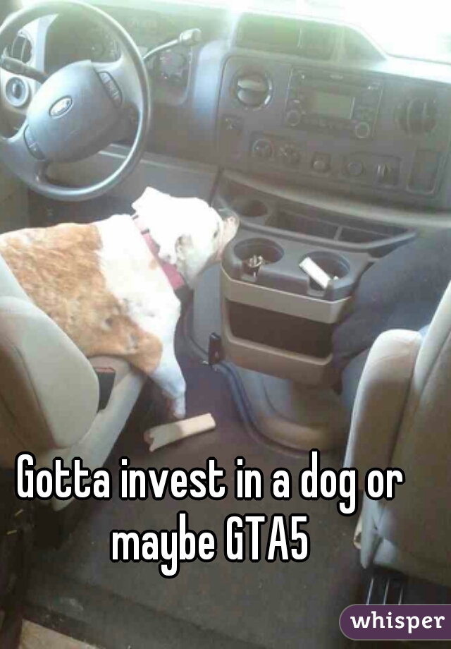 Gotta invest in a dog or maybe GTA5 