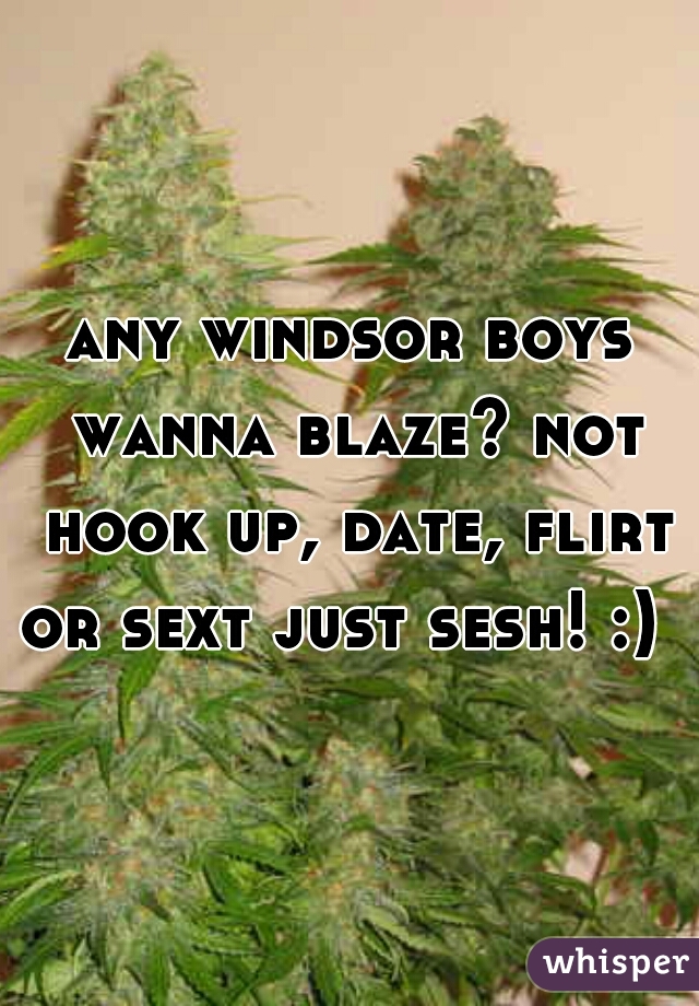 any windsor boys wanna blaze? not hook up, date, flirt or sext just sesh! :)  
