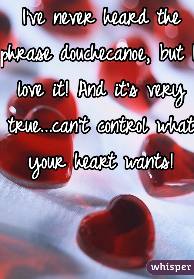 I've never heard the phrase douchecanoe, but I love it! And it's very true...can't control what your heart wants!