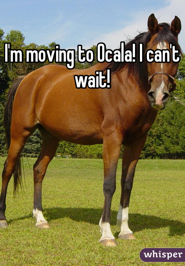 I'm moving to Ocala! I can't wait!