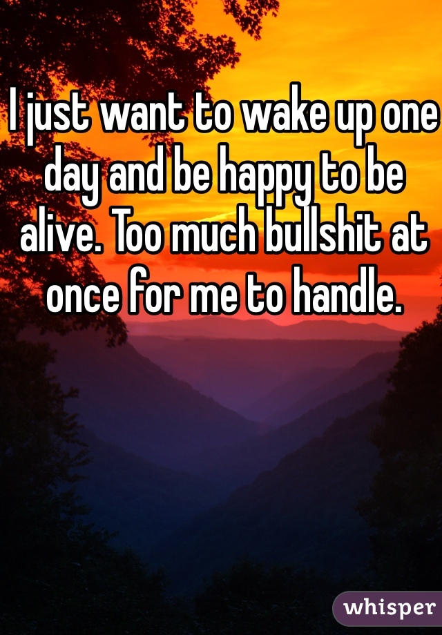 I just want to wake up one day and be happy to be alive. Too much bullshit at once for me to handle.