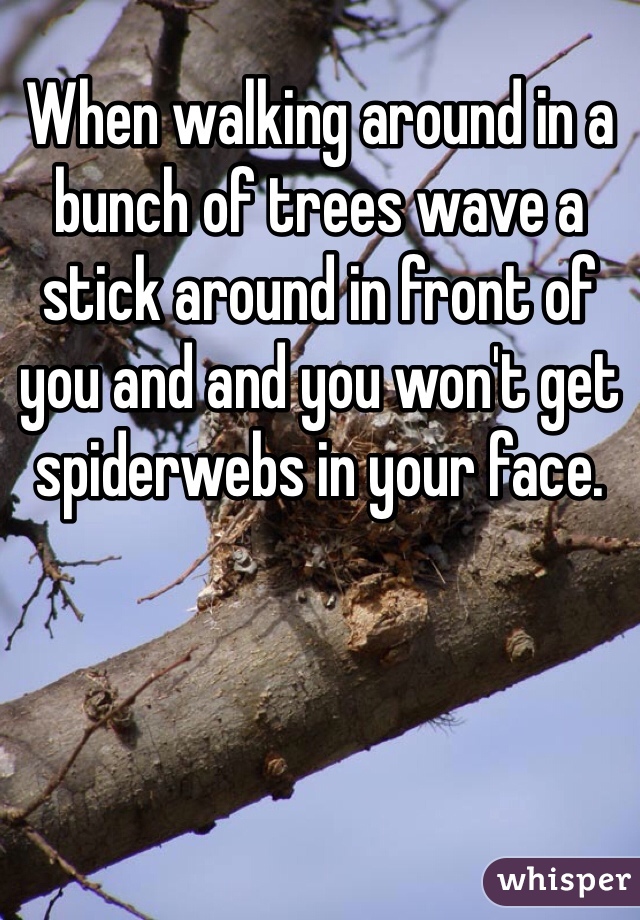 When walking around in a bunch of trees wave a stick around in front of you and and you won't get spiderwebs in your face.