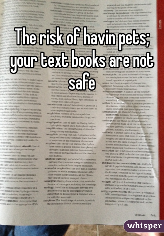 The risk of havin pets; your text books are not safe