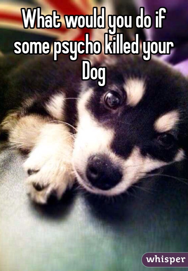 What would you do if some psycho killed your Dog