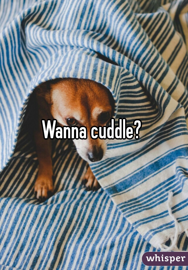 Wanna cuddle? 