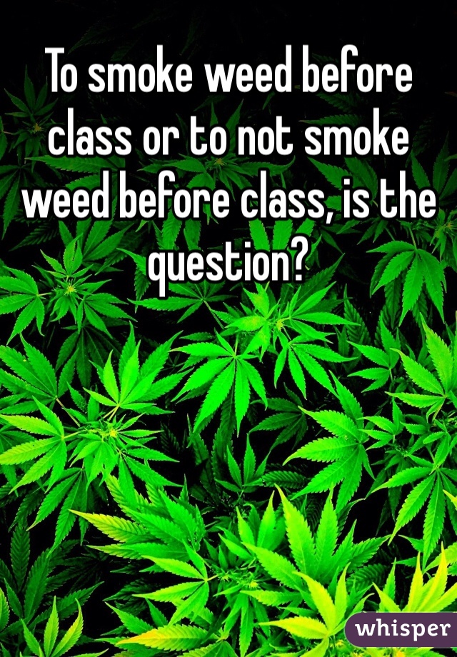 To smoke weed before class or to not smoke weed before class, is the question?