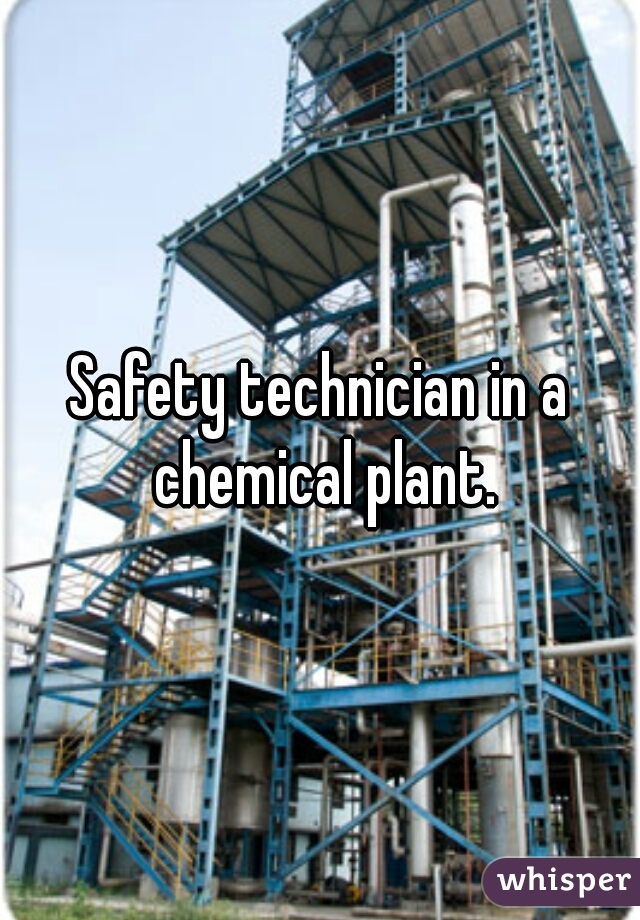 Safety technician in a chemical plant.