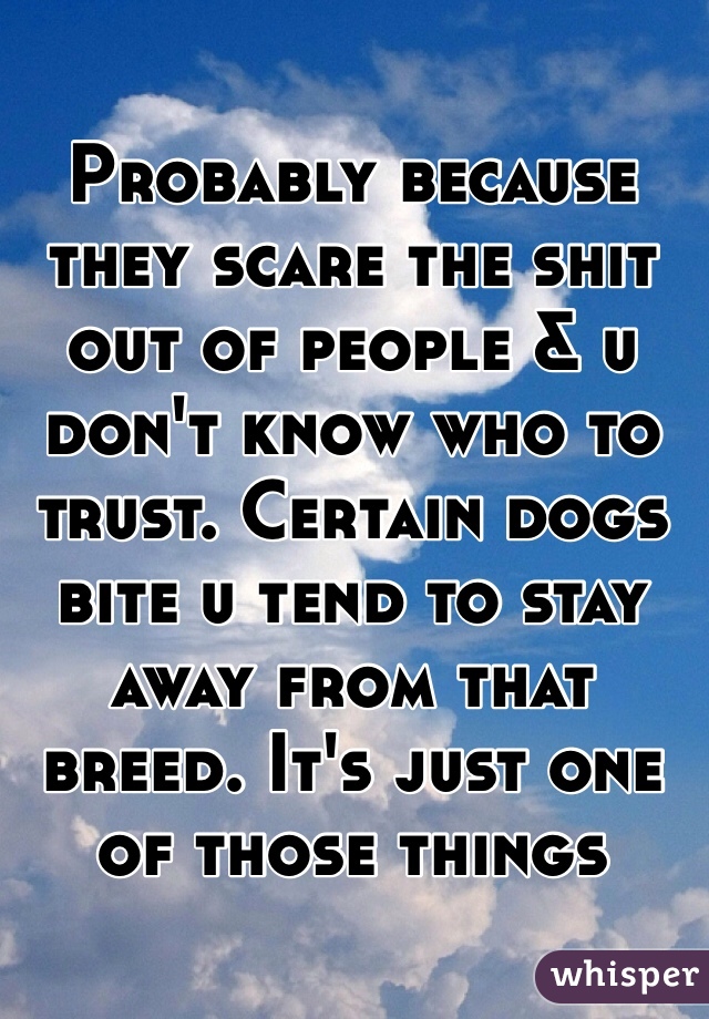 Probably because they scare the shit out of people & u don't know who to trust. Certain dogs bite u tend to stay away from that breed. It's just one of those things
