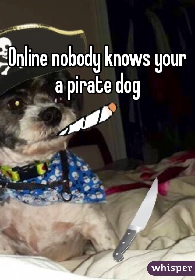 Online nobody knows your a pirate dog 