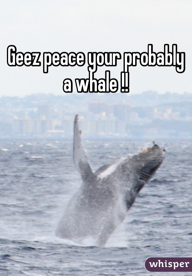 Geez peace your probably a whale !!