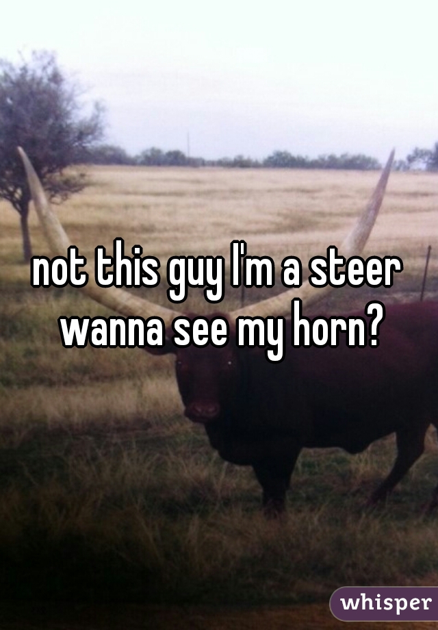not this guy I'm a steer wanna see my horn?