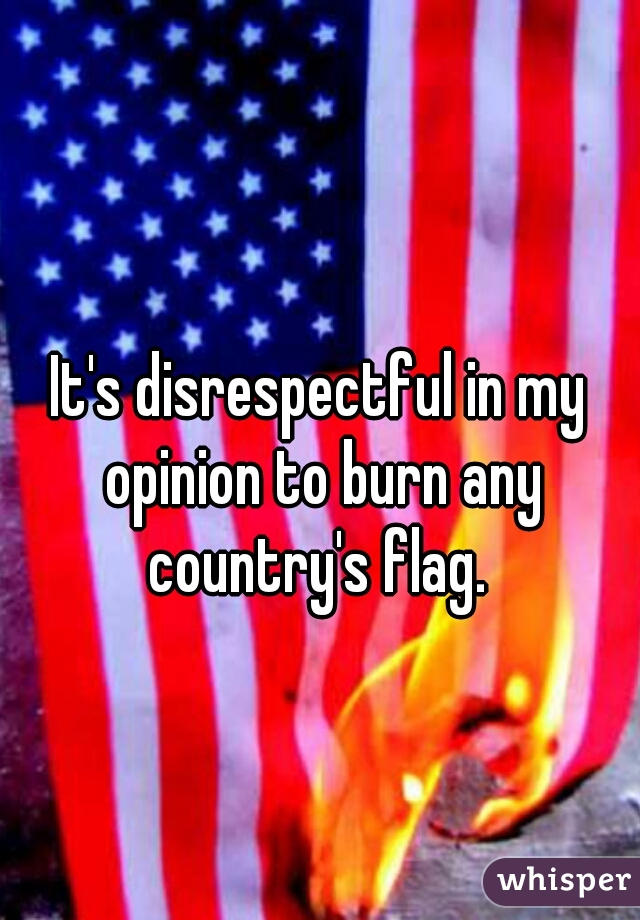 It's disrespectful in my opinion to burn any country's flag. 