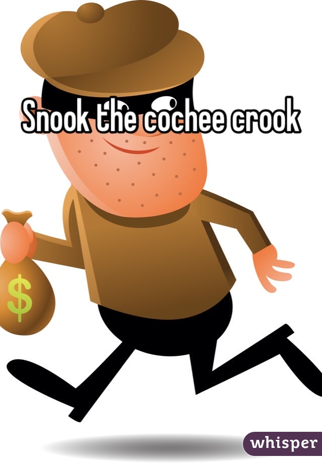 Snook the cochee crook