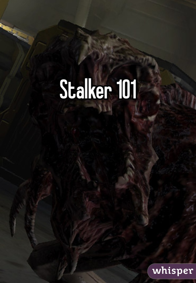 Stalker 101