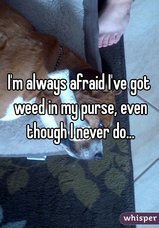 I'm always afraid I've got weed in my purse, even though I never do...