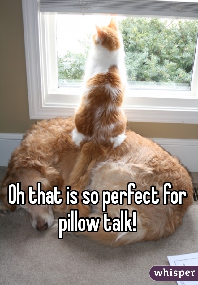 Oh that is so perfect for pillow talk!