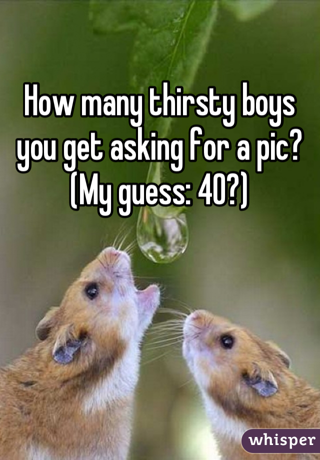 How many thirsty boys you get asking for a pic? (My guess: 40?)