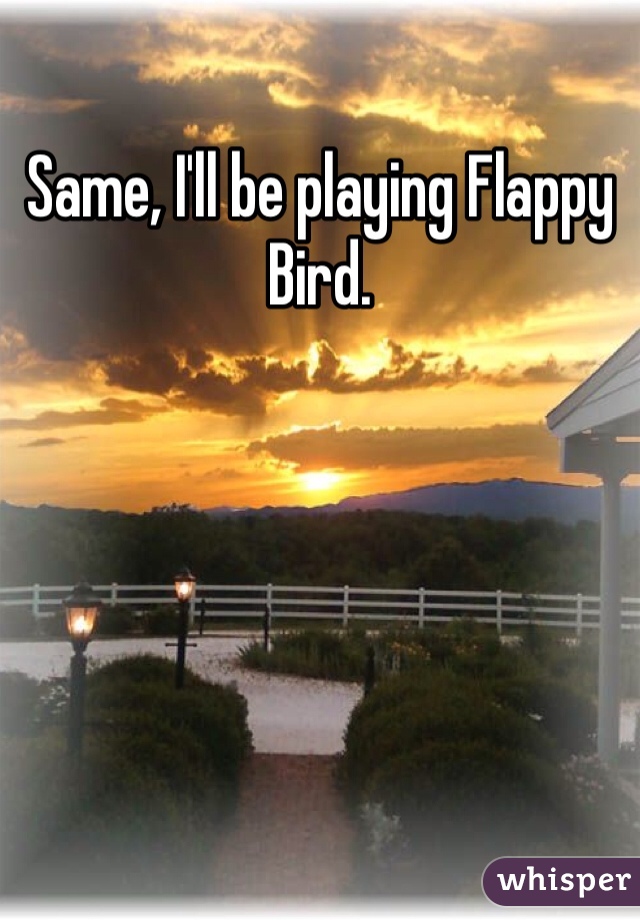 Same, I'll be playing Flappy Bird. 