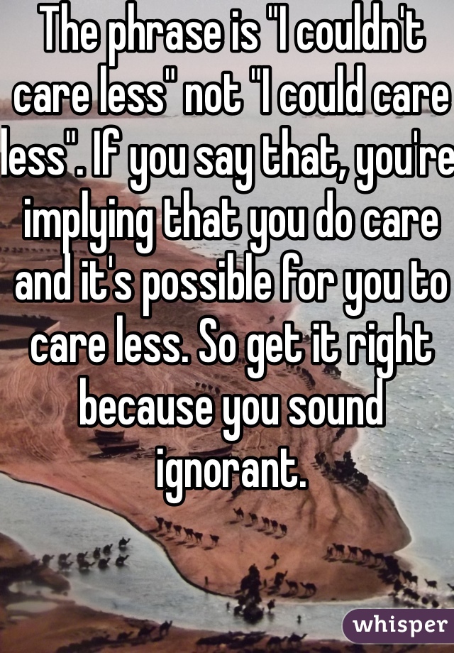 The phrase is "I couldn't care less" not "I could care less". If you say that, you're implying that you do care and it's possible for you to care less. So get it right because you sound ignorant. 