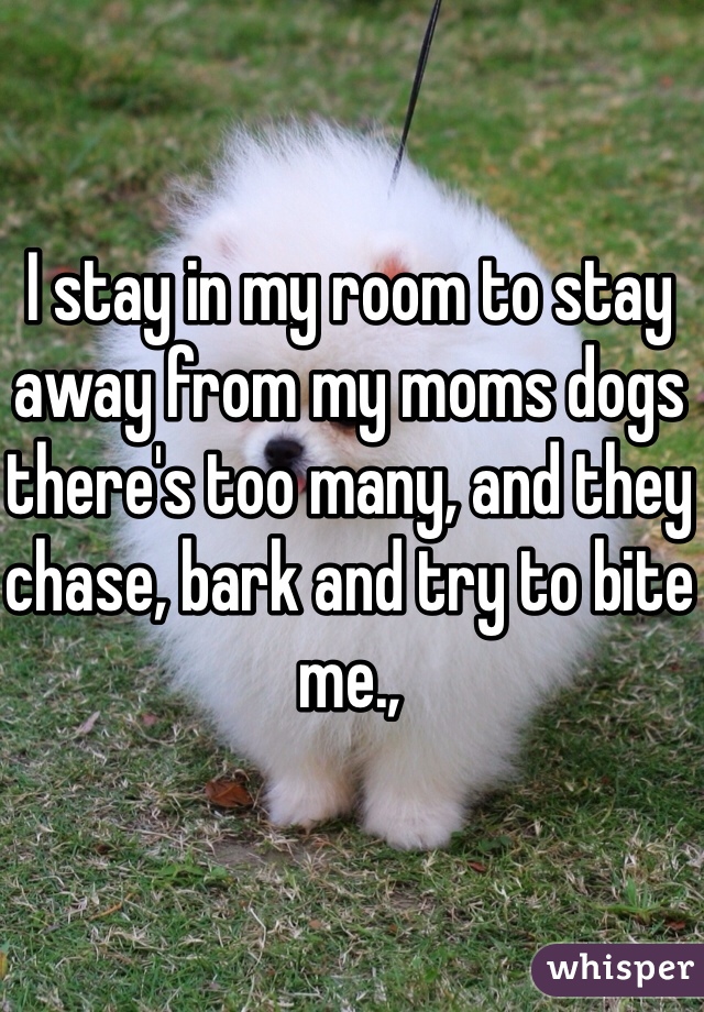 I stay in my room to stay away from my moms dogs there's too many, and they chase, bark and try to bite me.,