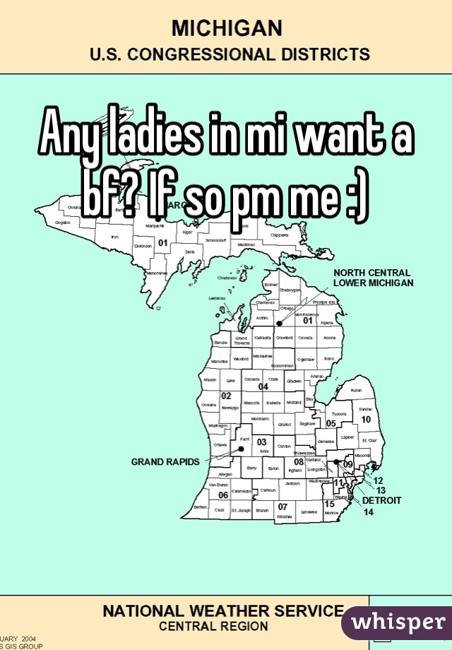 Any ladies in mi want a bf? If so pm me :)