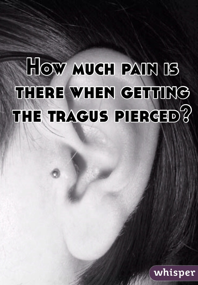 How much pain is there when getting the tragus pierced? 