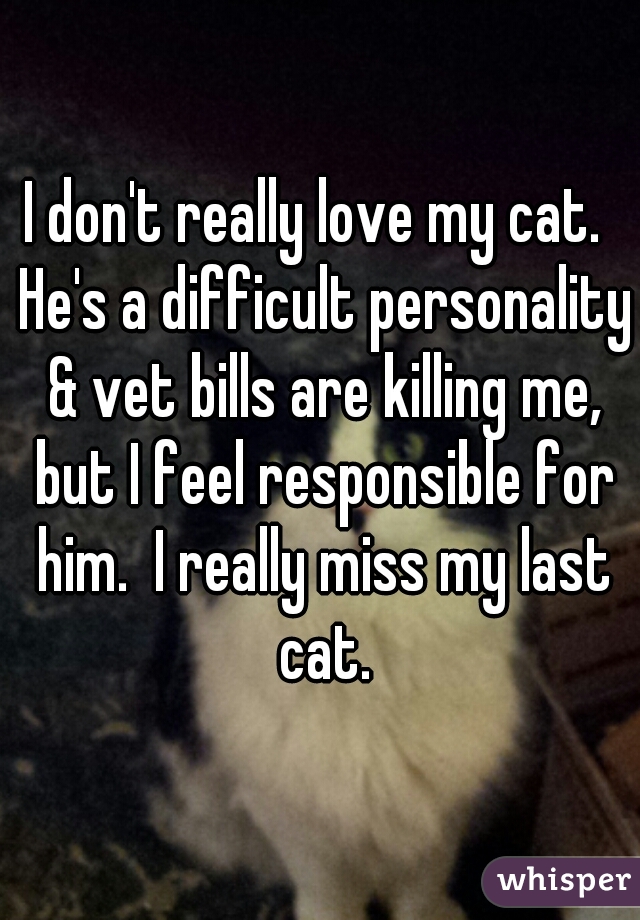 I don't really love my cat.  He's a difficult personality & vet bills are killing me, but I feel responsible for him.  I really miss my last cat.