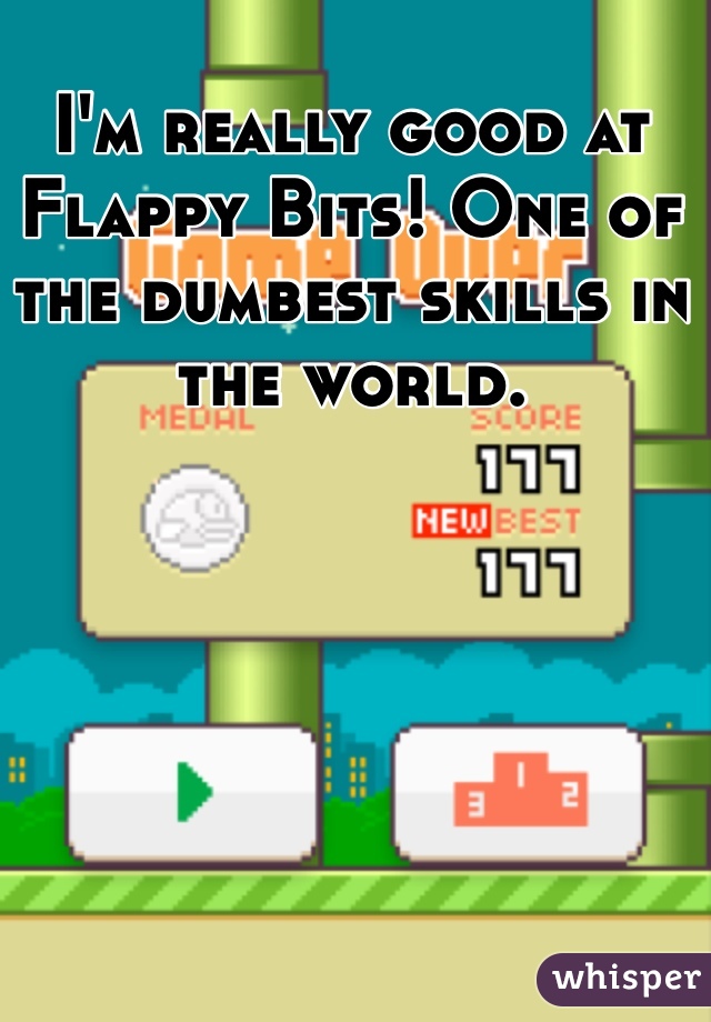 I'm really good at Flappy Bits! One of the dumbest skills in the world. 