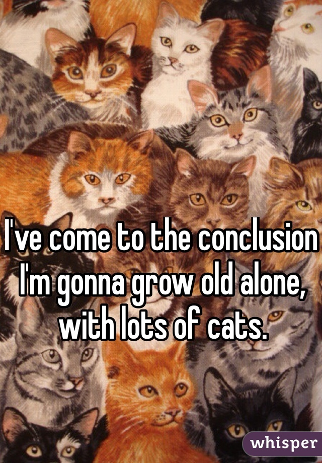 I've come to the conclusion I'm gonna grow old alone, with lots of cats. 