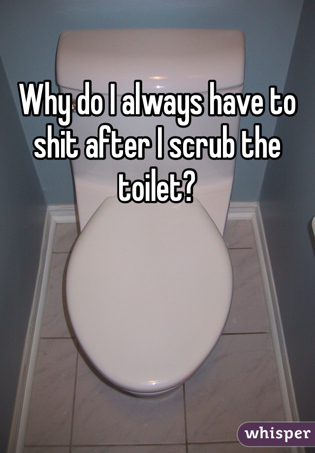 Why do I always have to shit after I scrub the toilet?