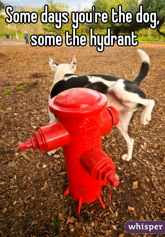 Some days you're the dog, some the hydrant