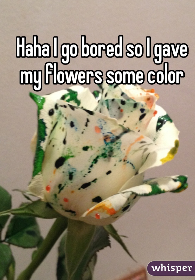 Haha I go bored so I gave my flowers some color 