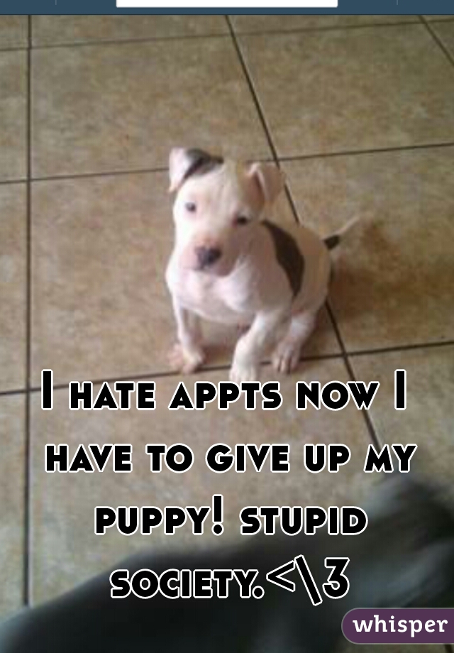 I hate appts now I have to give up my puppy! stupid society.<\3