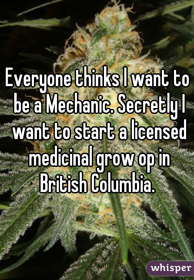 Everyone thinks I want to be a Mechanic. Secretly I want to start a licensed medicinal grow op in British Columbia. 